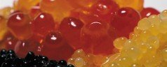 EUROPEAN CAVIAR: ROES BY OTHER NAMES