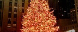 A Big Apple Christmas