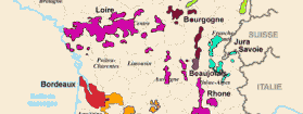Wine Picks from Frederick Wildman & Sons