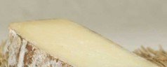 Piedmont Cheeses